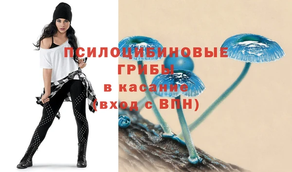 крисы Верхний Тагил