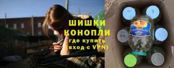 крисы Верхний Тагил
