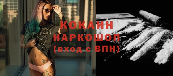 крисы Верхний Тагил